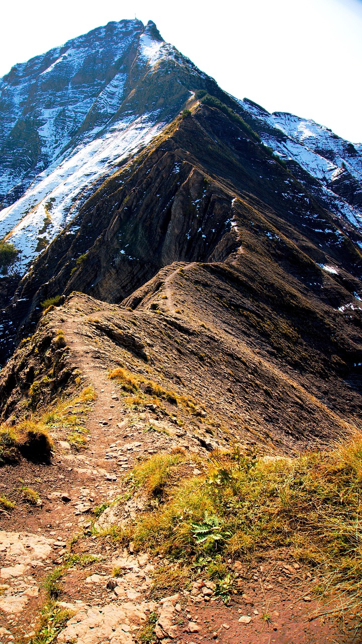mountain, nature, path, hike, goal, hoher freschen, climb