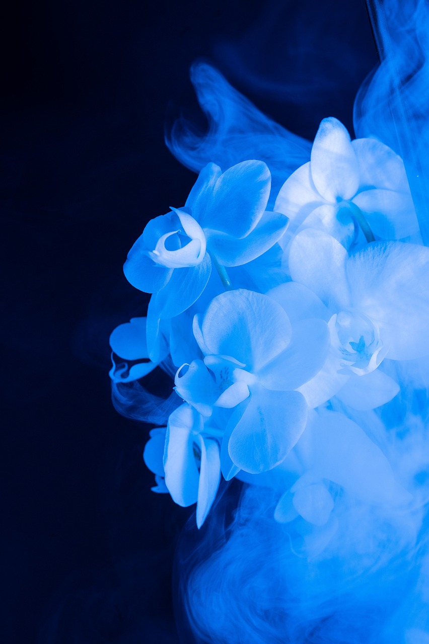 floral, abstract, flower, nature, colorful, blue, fantasy, flower wallpaper, smoke, beautiful flowers, dream, blue flower, blue abstract, flower background, blue fantasy, blue smoke, blue dream
