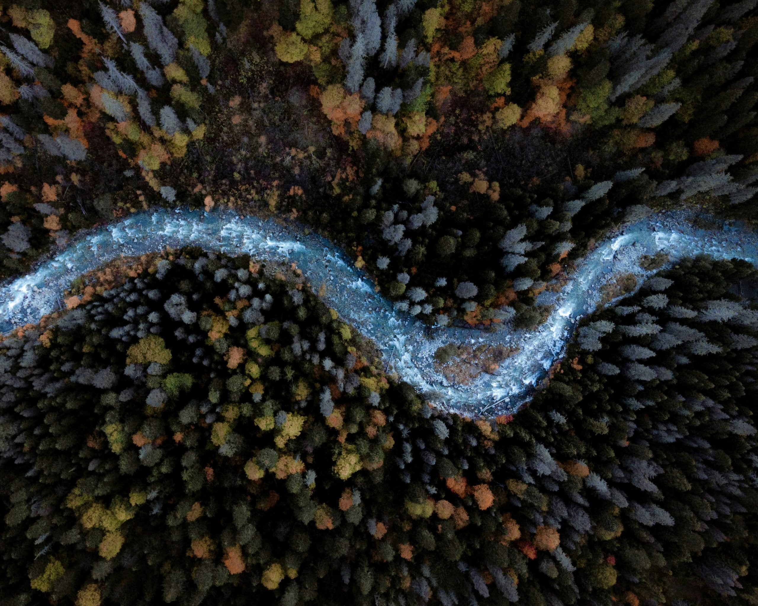 kirill pershin rauj pb hr8 unsplash